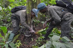 Teaching-Kom-ecoguards-camera-trap-positioning-in-the-kom-forest
