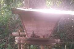 colonised-hive-Anco-last-visit