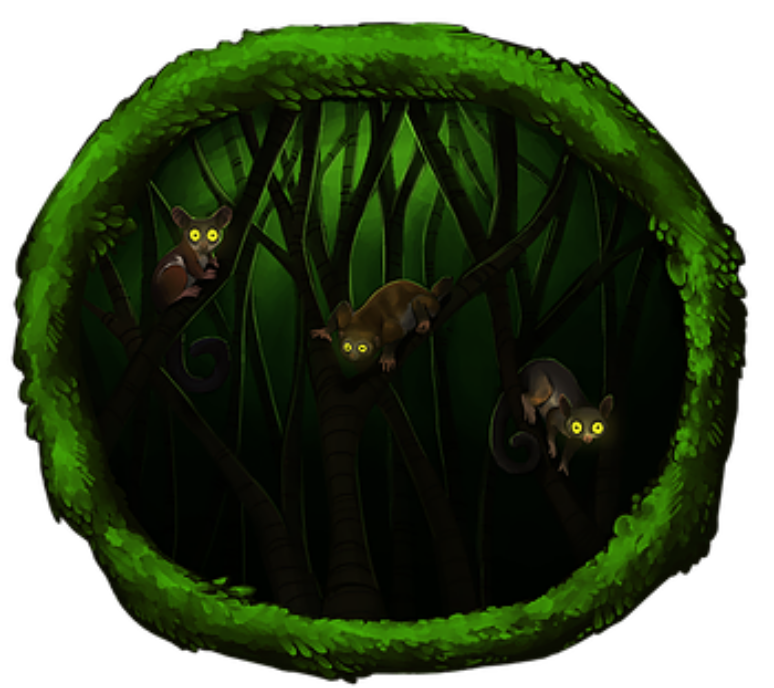 <h3)Chimpanzee Nest up in a tree</h3>