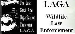 The Last Great Ape Organization Cameroon - LAGA