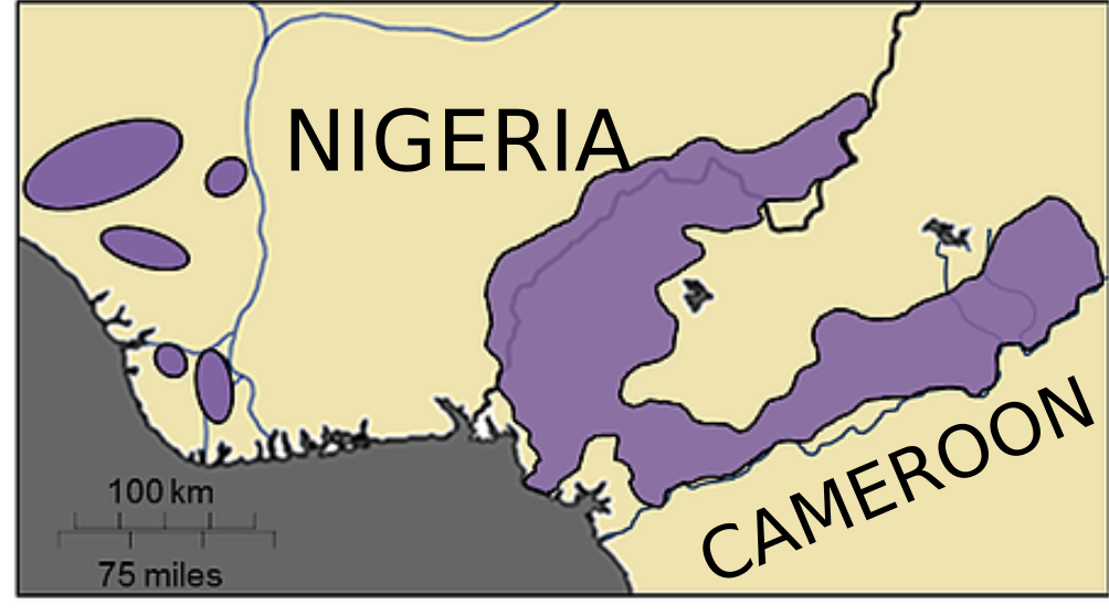 Nigeria-Cameroon